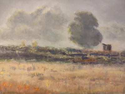 Morning in the fields, Shyshaky by Ilya Utekhin