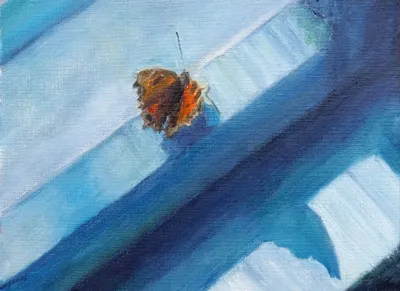 A Wing's Shadow by Ilya Utekhin