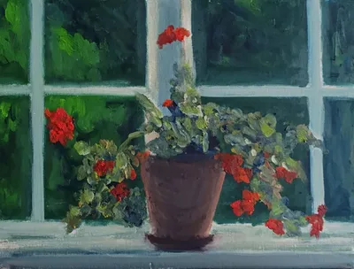 Geranium by Ilya Utekhin